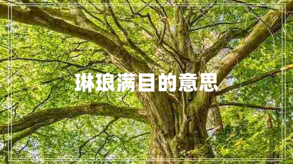 琳瑯滿目的意思