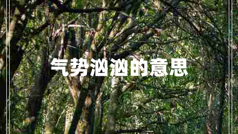 氣勢(shì)洶洶的意思