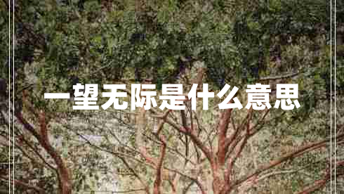 一望無際是什么意思