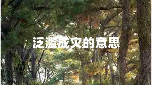 泛濫成災(zāi)的意思