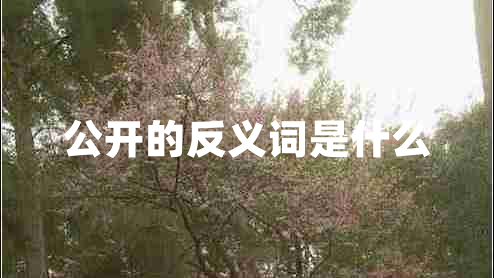 公開的反義詞是什么
