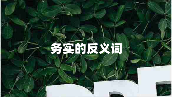 務實的反義詞