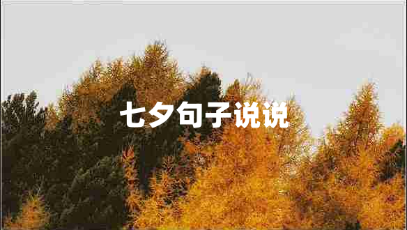 七夕句子說說