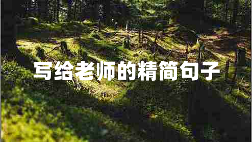 寫給老師的精簡句子