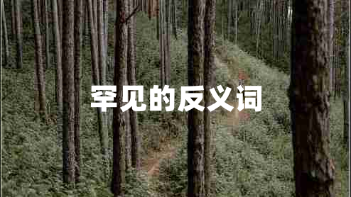 罕見的反義詞