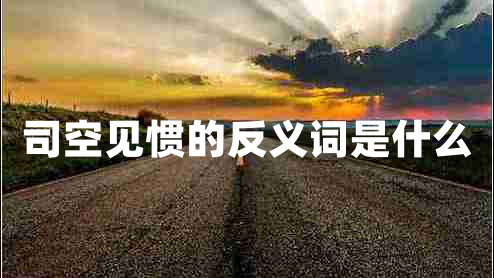 司空見(jiàn)慣的反義詞是什么