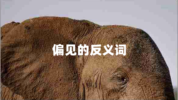 偏見的反義詞