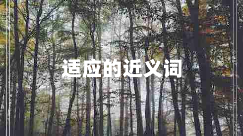 適應的近義詞