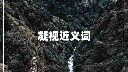 凝視近義詞