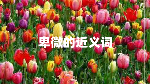 卑微的近義詞