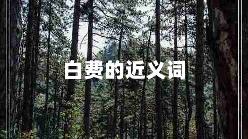 白費(fèi)的近義詞