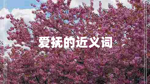 愛(ài)撫的近義詞