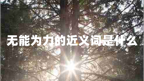 無(wú)能為力的近義詞是什么