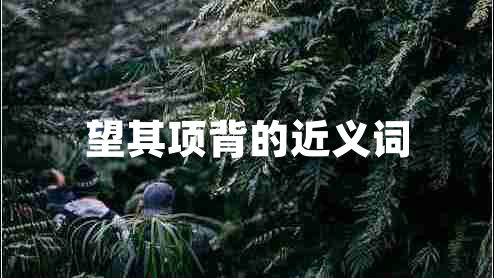望其項背的近義詞