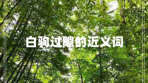 白駒過(guò)隙的近義詞