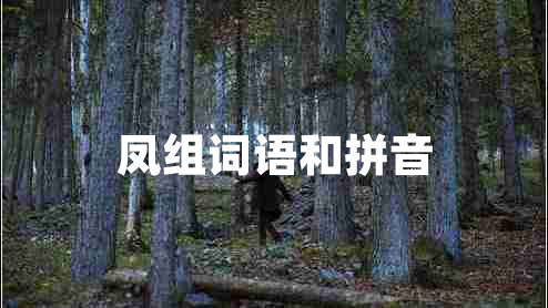 鳳組詞語(yǔ)和拼音
