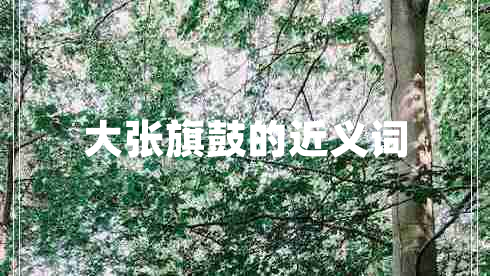 大張旗鼓的近義詞