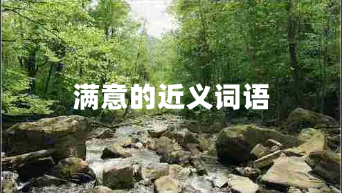 滿意的近義詞語(yǔ)