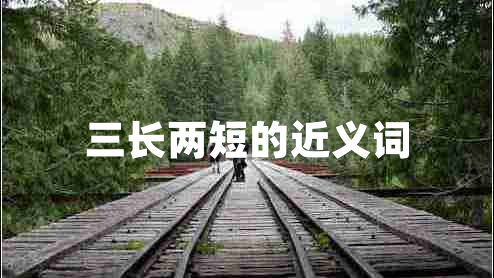 三長(zhǎng)兩短的近義詞