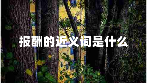 報(bào)酬的近義詞是什么