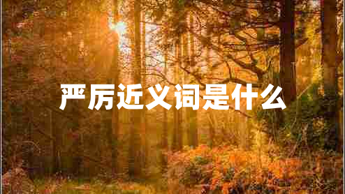 嚴厲近義詞是什么