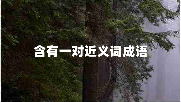 含有一對近義詞成語