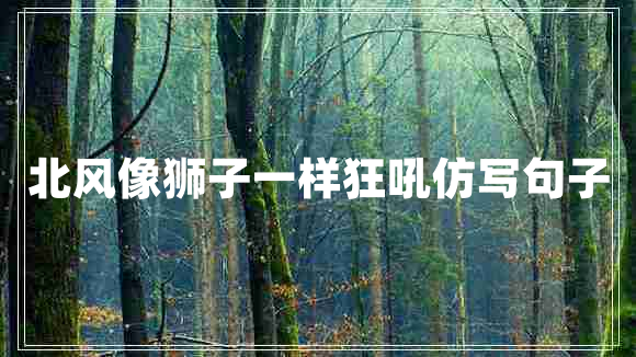 北風(fēng)像獅子一樣狂吼仿寫(xiě)句子