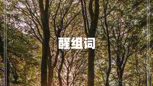 醒組詞