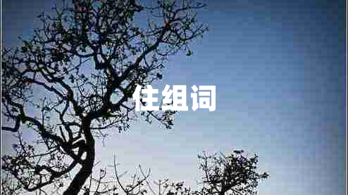 住組詞