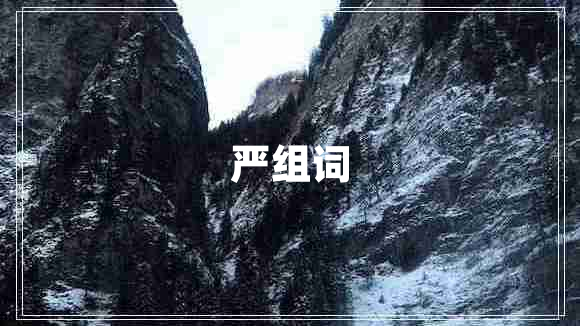 嚴組詞