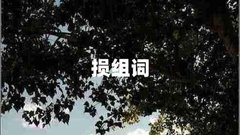 損組詞