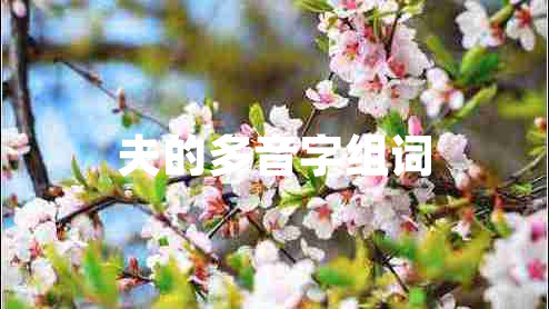 夫的多音字組詞 夫的多音字組詞