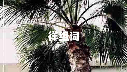 徉組詞