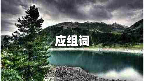 應組詞