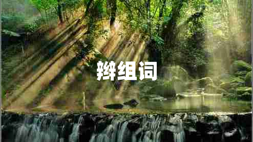 辮組詞
