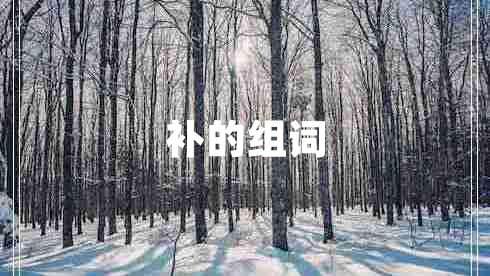 補(bǔ)的組詞