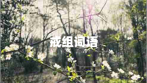 戒組詞語(yǔ)