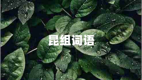 昆組詞語