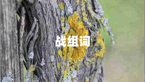 戰(zhàn)組詞