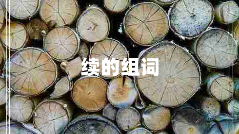續(xù)的組詞