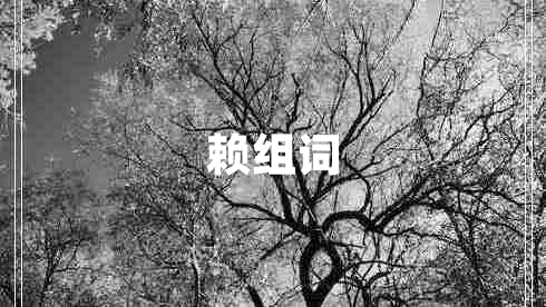 賴組詞