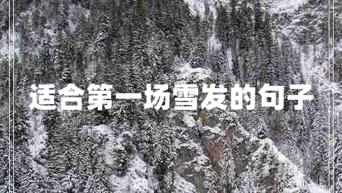 適合第一場雪發(fā)的句子