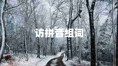 訪拼音組詞