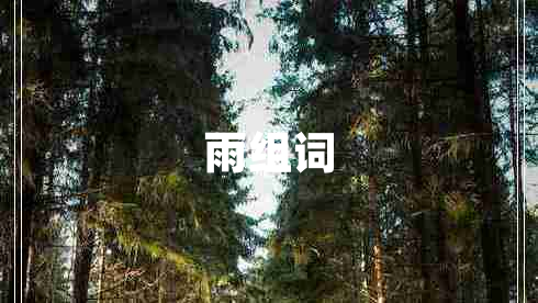 雨組詞