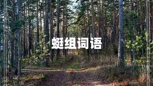 蜓組詞語
