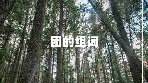 團(tuán)的組詞
