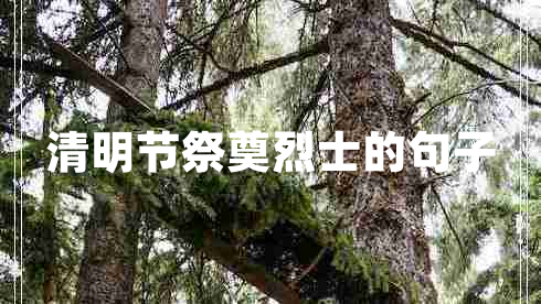 清明節(jié)祭奠烈士的句子
