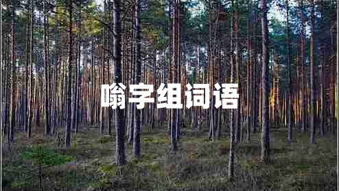 嗡字組詞語
