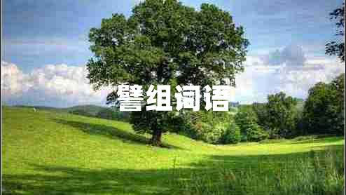 譬組詞語