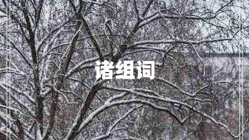 諸組詞